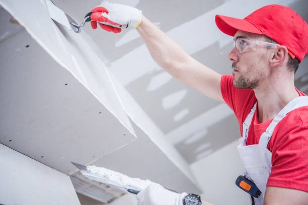 Best Trim and Molding Painting  in Anderson, MO